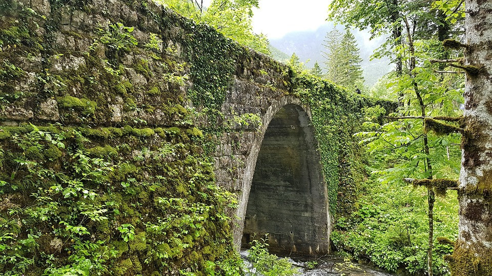 Z zelenjem, kot z okrasom, preraščen most.