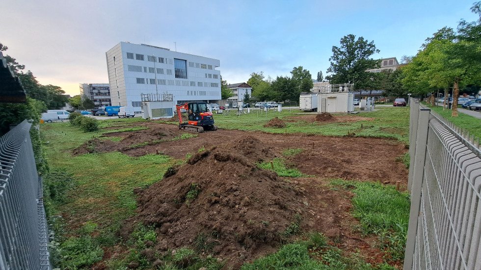 Očiščen prostor ob meteorološki postaji, kjer se bo razprostiral fenološki park