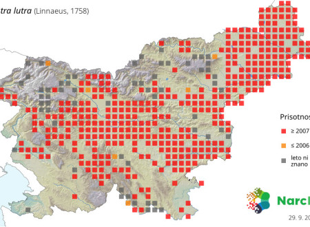 Zemljevid Slovenije - lokacije vidre. 