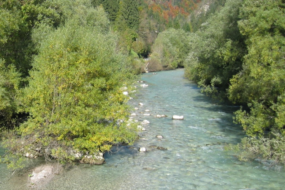 Reka Savinja, Luče