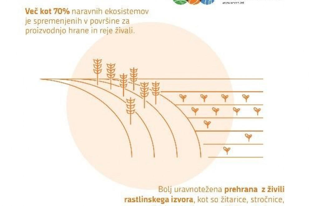 Prehrana rastlinskega izvora zmanjšuje potrebo po obdelovalnih kmetijskih površinah in vodi.