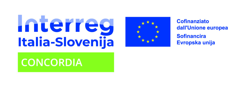 Na levi strani je z modrimi črkami zapisan Interreg, pod njim pa Italia–Slovenija. Spodaj je svetlo zelen pravokotnik z belim napisom CONCORDIA. Na desni sta zastava EU ter dvojezičen napis: Cofinanziato dall'Unione europea in Sofinancira Evropska unija.