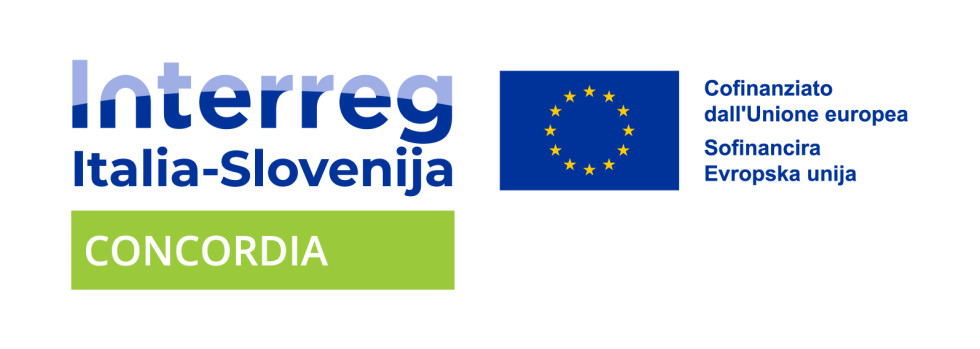 Na levi strani je z modrimi črkami zapisan Interreg, pod njim pa Italia–Slovenija. Spodaj je svetlo zelen pravokotnik z belim napisom CONCORDIA. Na desni sta zastava EU ter dvojezičen napis: Cofinanziato dall'Unione europea in Sofinancira Evropska unija.