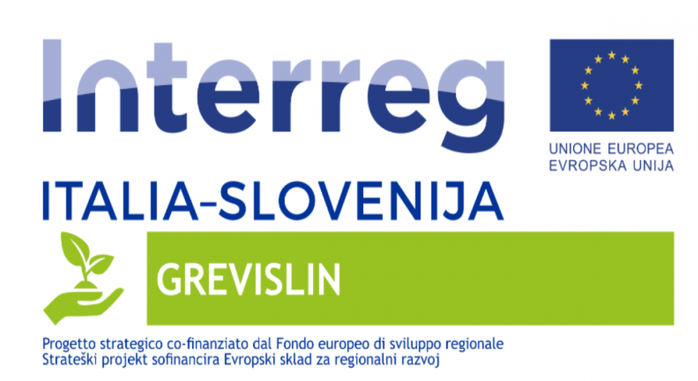 Zastava EU, podnapisa UNIONE EUROPEA in EVROPSKA UNIJA, na levi strani napisa Interreg, ITALIA-SLOVENIJA, pod njimi je zelena oznaka Prednostne osi 3, poleg je napis GREVISLIN in spodaj Strateški projekt sofinancira Evropski sklad za regionalni razvoj.