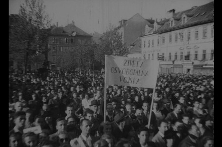 razstava film pano 10