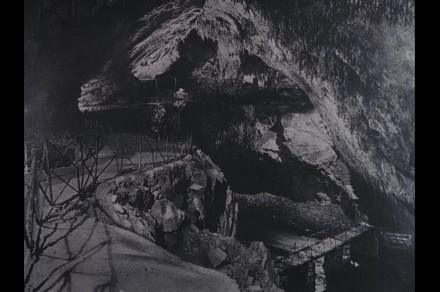 razstava film pano 3