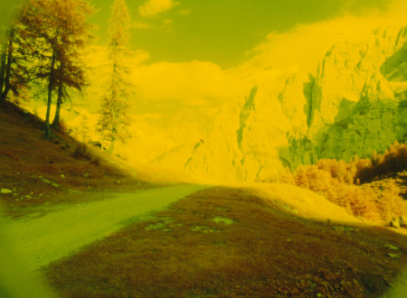 Diapozitiv Bojana Adamiča z upodobitvijo gorske poti. V desnem kotu so ob poti tri visoka drevesa iglavcev, v daljavi se vzpenjajo gorski prelazi.