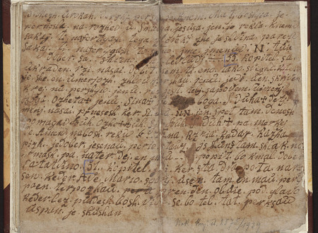 Additonal pages from the chapetr Duhouna branva in the Manuscript "Kolemonov žegen".Manuscript "Kolemonov žegen".