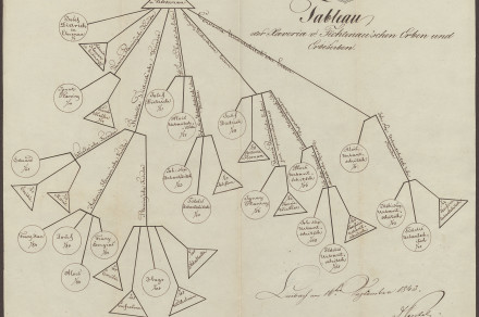 Legal Files Created by Solicitor Dr. Lovro Toman