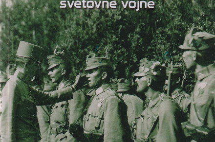 http://arhiv.arhiv-spletisc.gov.si/fileadmin/arhiv.gov.si/pageuploads/publikacije/2018/Vodnik_po_ar._gr._1.pdf