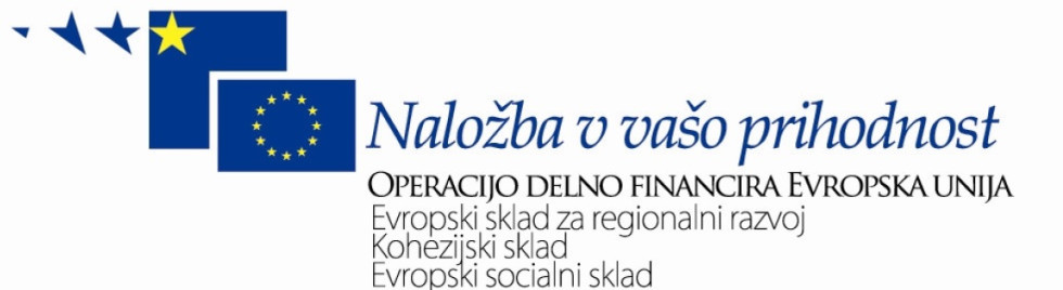 Logotip Evropskega sklada za regionalni razvoj 2007-2013