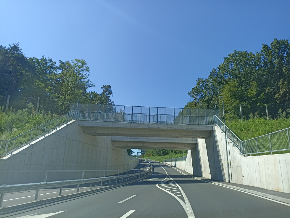 Podvoz pod železniško progo, v ozadju gozd