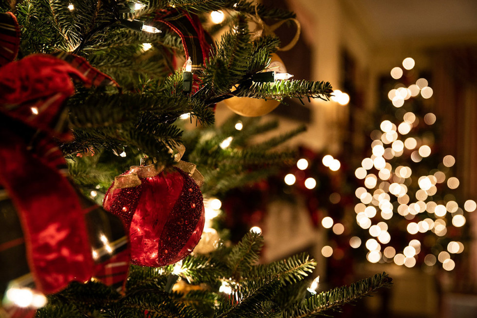 Božično drevo z okraski in lučkami