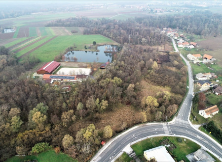 Helikoptrski pogled na predel gozda in močvirja ter vode