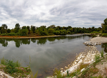 Rečni rokav reke Drave