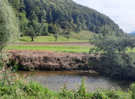 Dresnik je odstranjen z rastišča