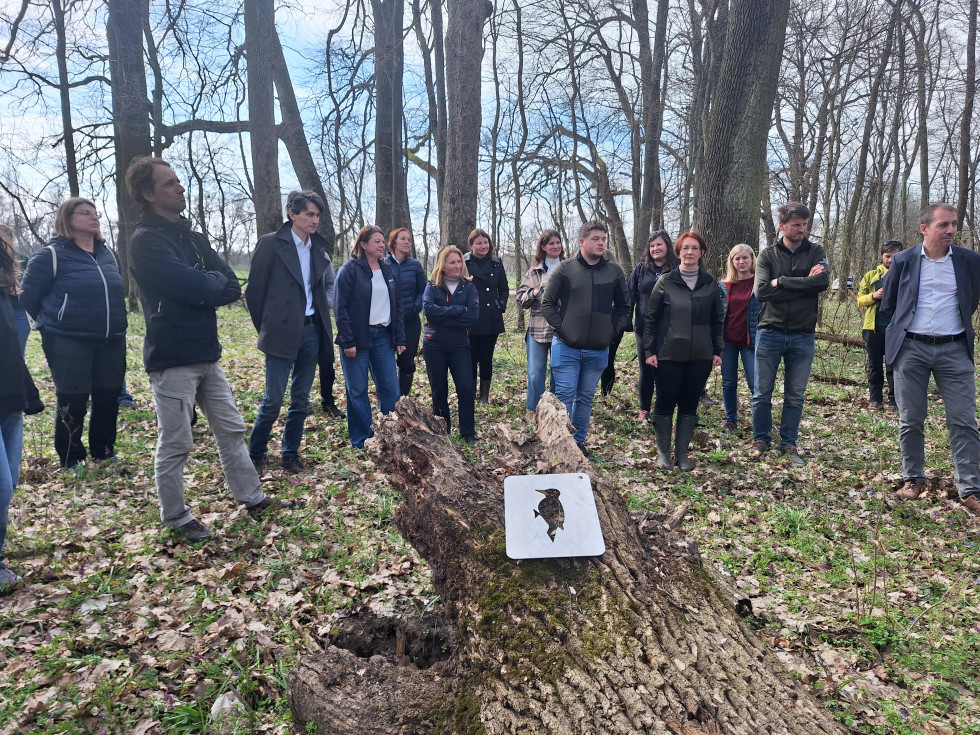 Udeleženci srečanja stojijo v gozdu in poslušajo predstavitev. V ospredju je šablona za risanje ptiča.