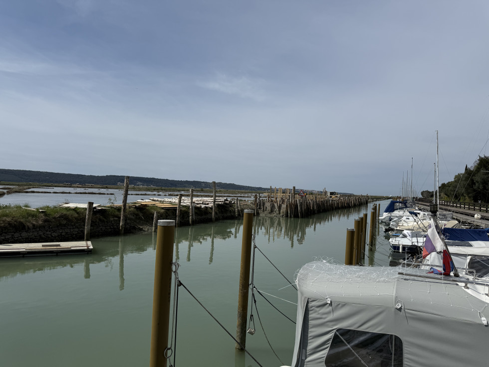 Zid ob kanalu Sv. Jerneja, kjer potekajo dela.
