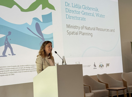 Generalna direktorica Direktorata za vode na Ministrstvu za naravne vire in prostor dr. Lidija Globevnik