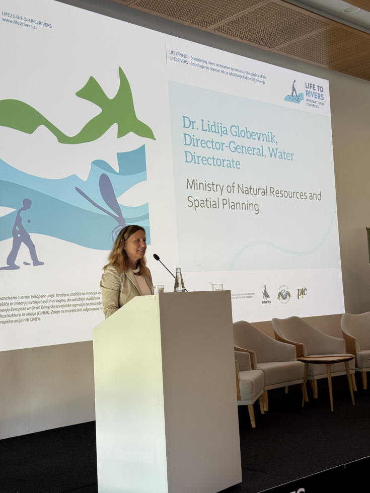Ženska stoji za govorniškim pultom in nagovarja udeležence ob projekciji predstavitve v dvorani.