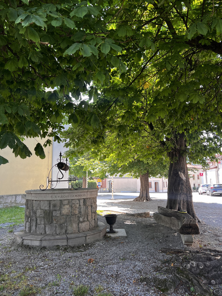 Kamnit vodnjak in drevesa okoli njega