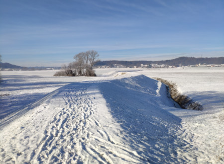 sneg na pobočju