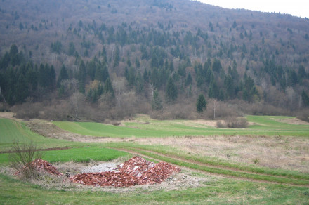 Kmetijstvo, gozdarstvo in prehrana