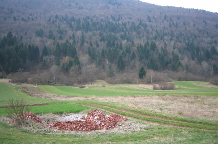 Kmetijstvo, gozdarstvo in prehrana