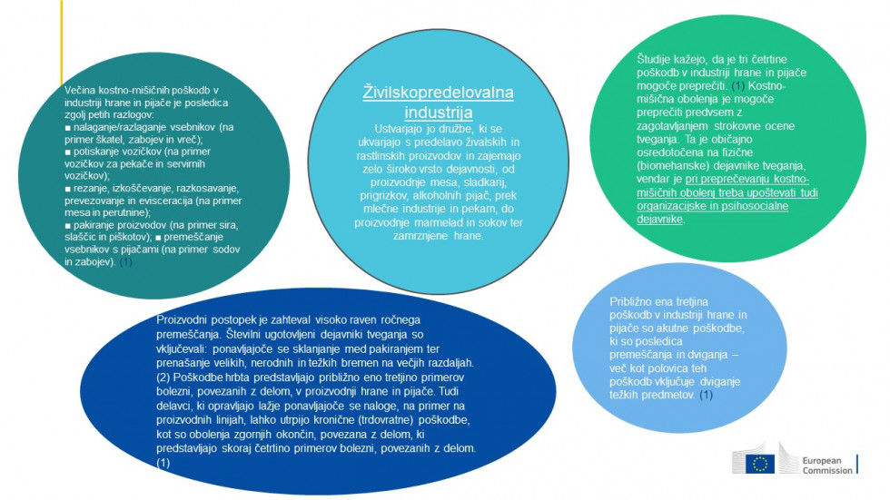 Informacije glede kostno-mišičnih obolenj v dejavnosti proizvodnje hrane in pijač. 