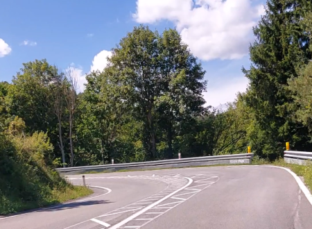 cesta z označeno talno oznako za motoriste. V ozadju je modro nebo in gozd.