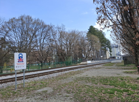 Travnik in železniški tiri, ki so nezavarovani in omogočajo prehode čez tire. V ozadju so drevesa, ki potekajo vzdolž železniških tirov