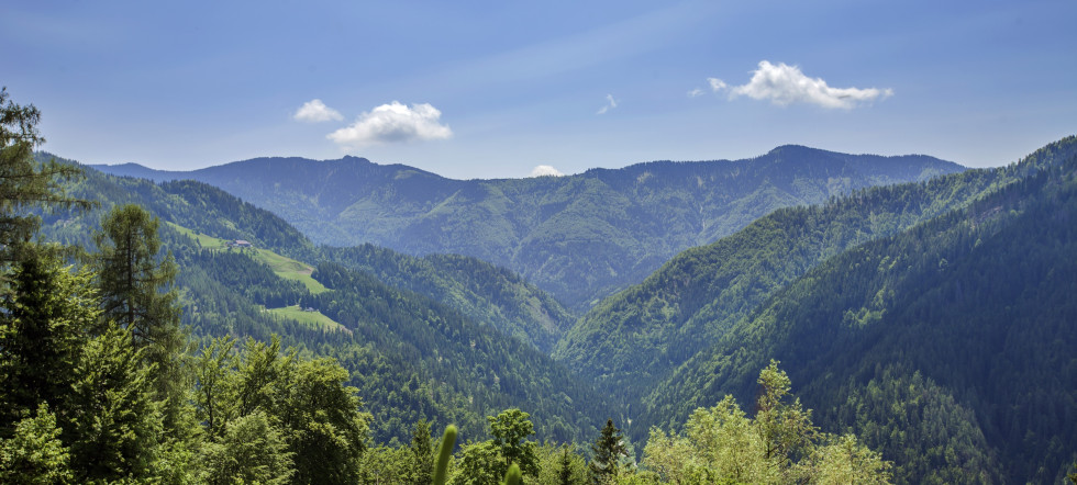 Panoramski pogled na Pohorje 