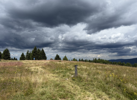 Pohorje 
