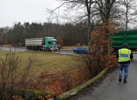 predstavnika nadzornih organov stojita ob dveh ustavljenih kamionih na cesti, ki se vije med travnikom in gozdičkom na drugi strani