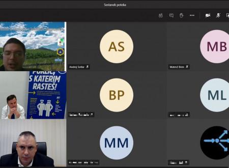 Posnetek zaslona video srečanja z mag. Bojanom Majcnom in Zoranom Remicem