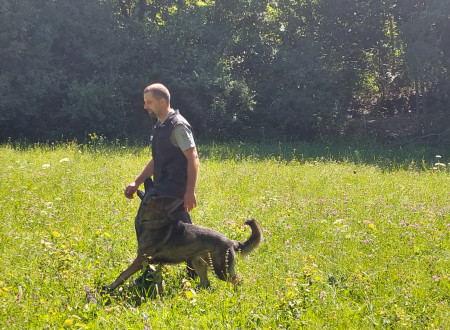 Predstavitev dela pravosodnih policistov s službenimi psi