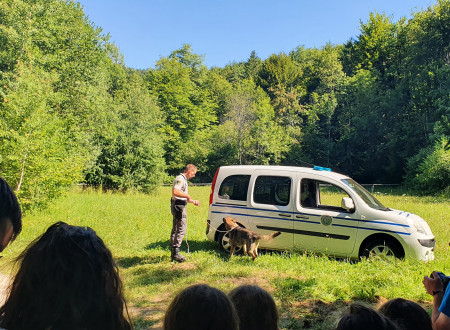 Predstavitev dela pravosodnih policistov s službenimi psi