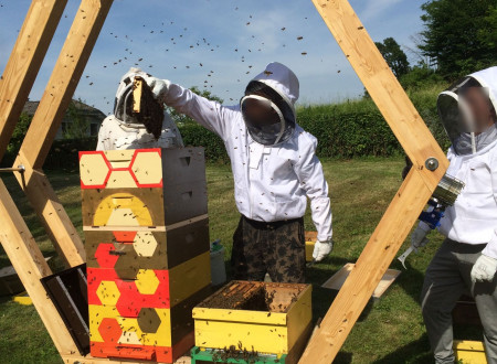 Sodelujoči v projektu v zaščitnih oblekah oskrbujejo čebelje družine v panjih