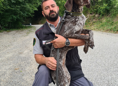 Pravosodni policist po prikazu dela vodnika službenega psa s psičko Indy