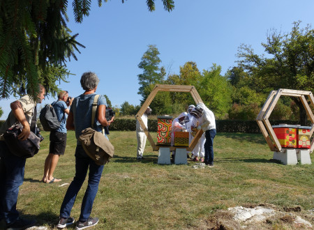 Fotografiranje panjev in udeležencev projekta