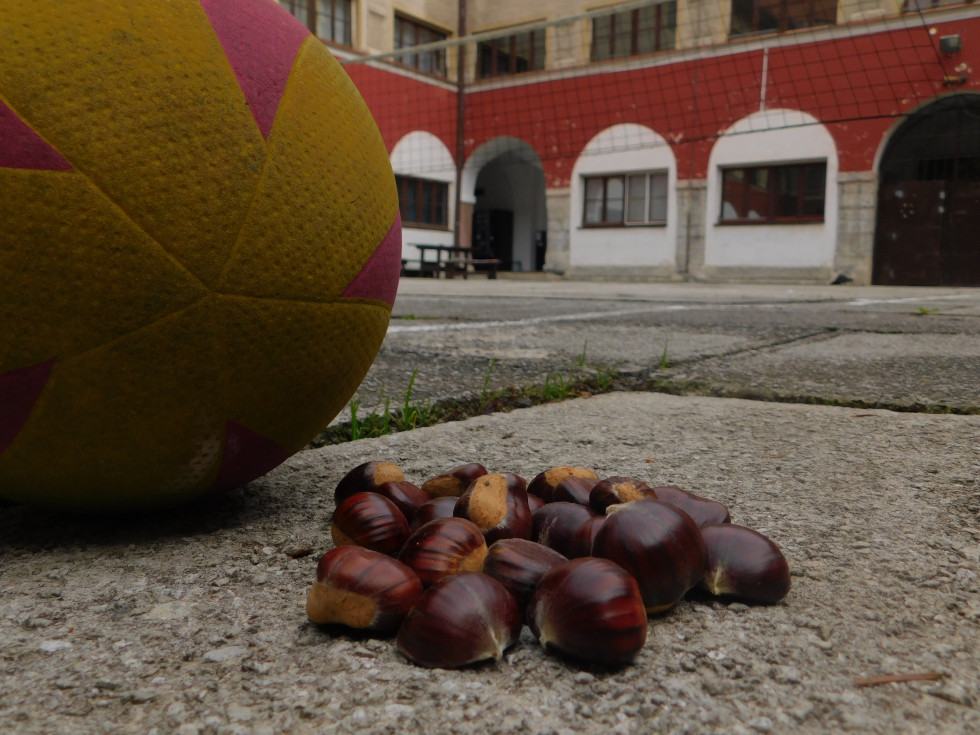 Žoga in kostanj na notranjem grajskem dvorišču