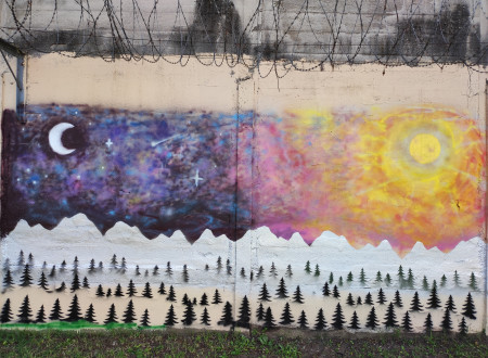 Grafit barvitega gozda