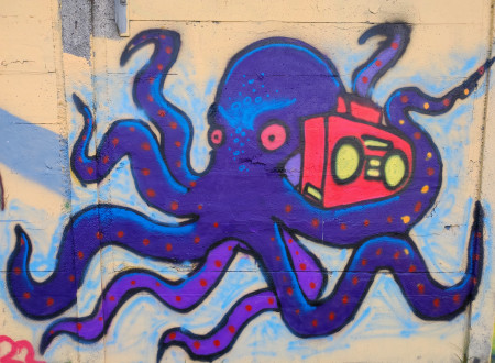Grafit hobotnice