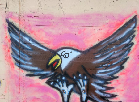 Grafit orla