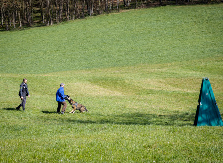 Dva vodnika in službeni pes pri prikazu dela na travniku