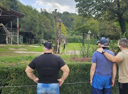 Obisk živalskega vrta - obsojenci ob žirafah
