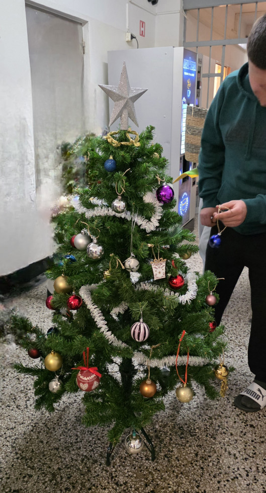 Na sliki je videti del osebe, ki krasi novoletno drevo v notranjosti prostora (na hodniku)