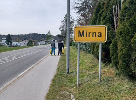 Obsojenci pobirajo smeti v naselju Mirna, ob glavni cesti