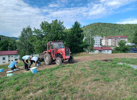Obsojenci z vedri pri urejanju okolice, v ozadju rdeč traktor s prikolico