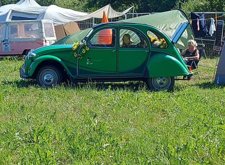 Zelen starodobnik na travniku